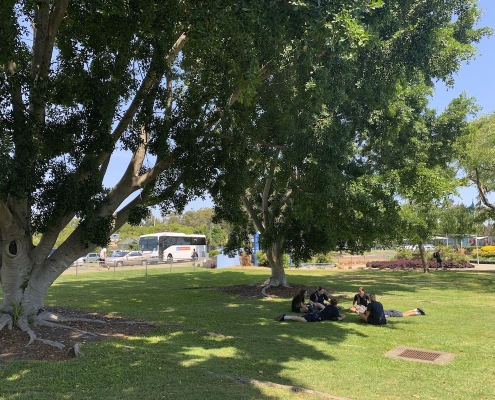 Mountain Creek SHS 20