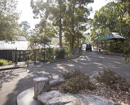 Hills Grammar School 3