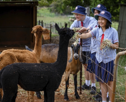 Rochedale SHS 3 Rochedale SHS 3