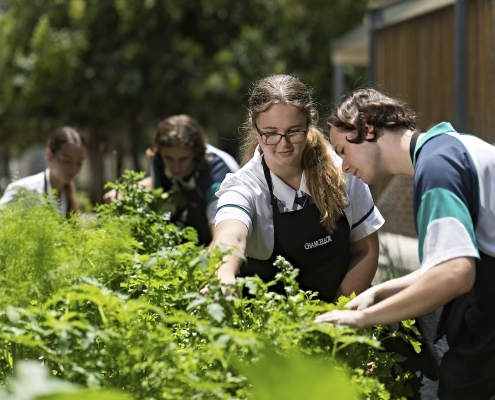 Chancellor State College 7 Chancellor State College 7