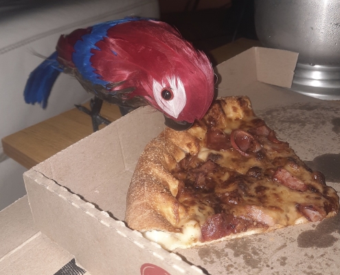 Birds love Pizza Birds love Pizza