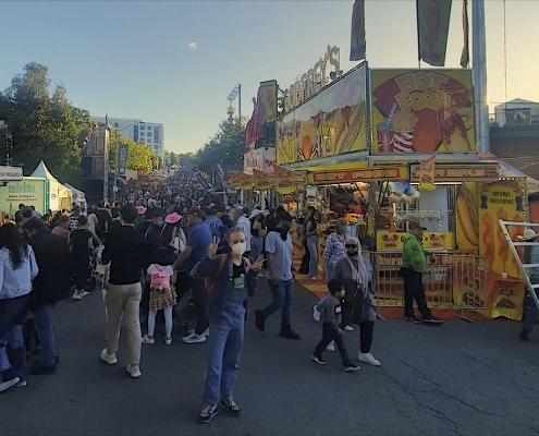 Cora auf der Landwirtschaftsmesse von Queensland (Ekka) Cora auf der Landwirtschaftsmesse von Queensland (Ekka)