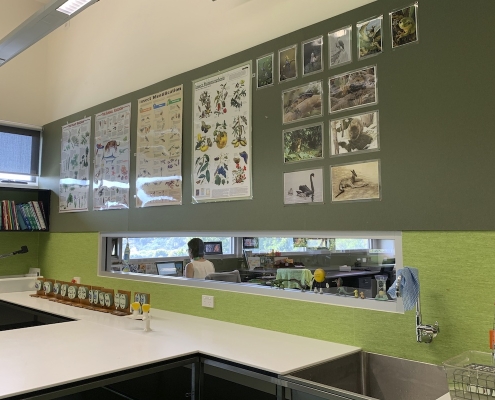 scotch_oakburn_coll_23