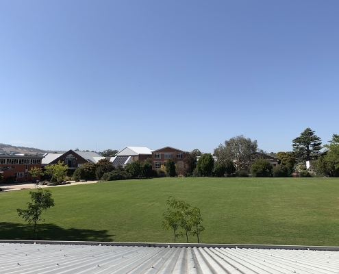 scotch_oakburn_coll_25