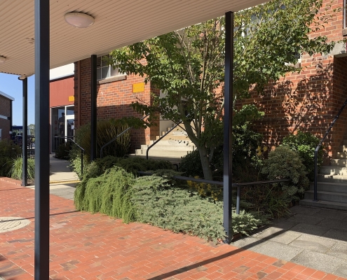 scotch_oakburn_coll_7