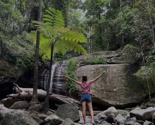 Buderim Forest Park Buderim Forest Park