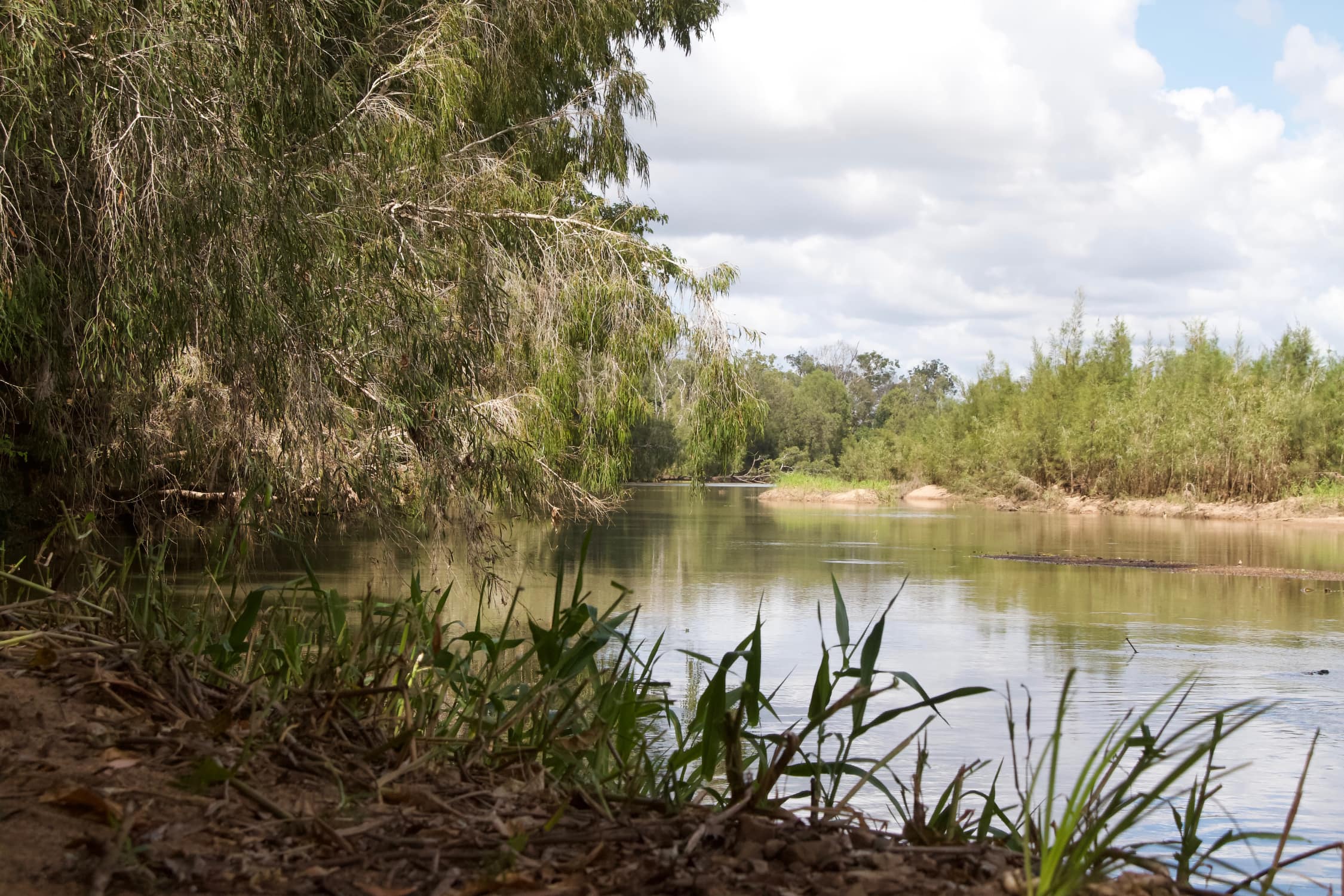 Fischteich Fischteich