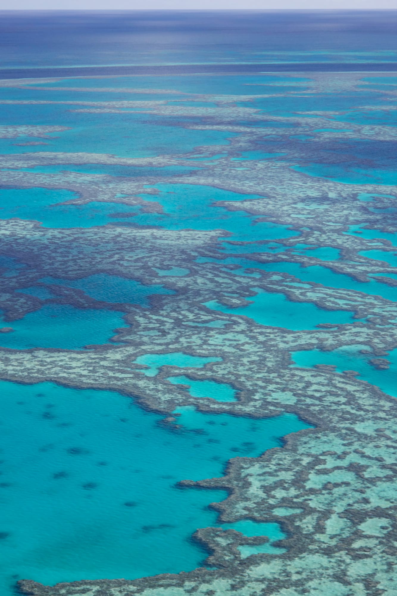 Great Barrier Reef Great Barrier Reef