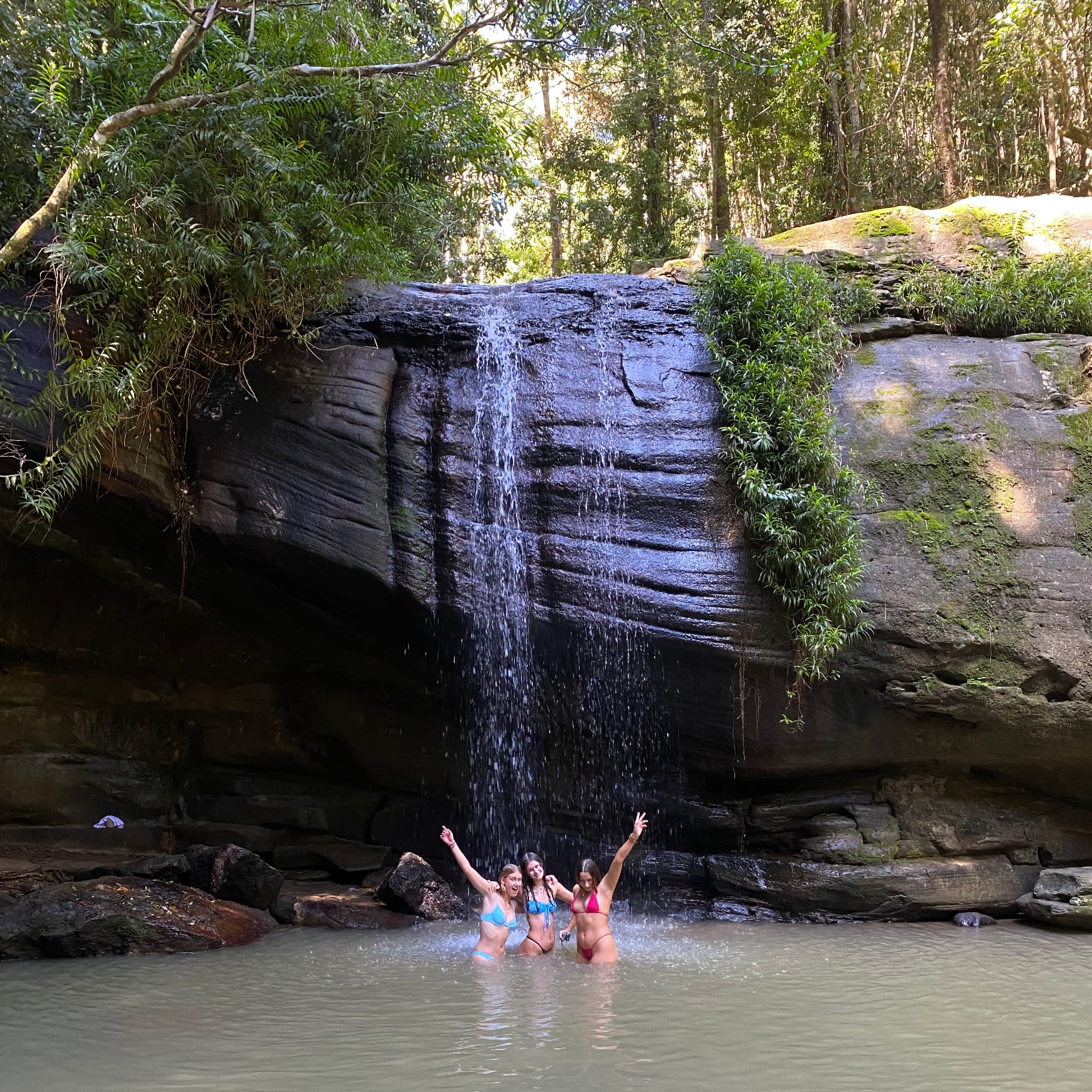 Buderim Waterfalls Buderim Waterfalls, Sunshine Coast