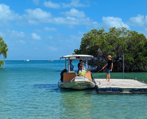 Orpheus Island Orpheus Island