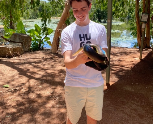 Billabong Sanctuary 1 Billabong Sanctuary 1