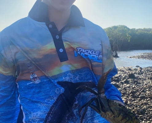 Die erste selbstgefangene "Mud-Crab" Die erste selbstgefangene "Mud-Crab"