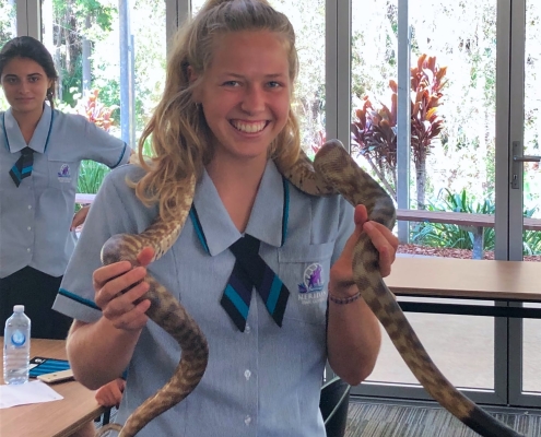 Australian Animals: Snake Australian Animals: Snake