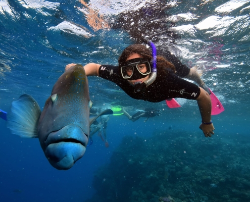 Aquatic Practices 5 Aquatic Practices 5