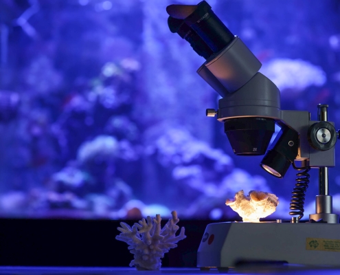 Marine Science 2 Marine Science 2