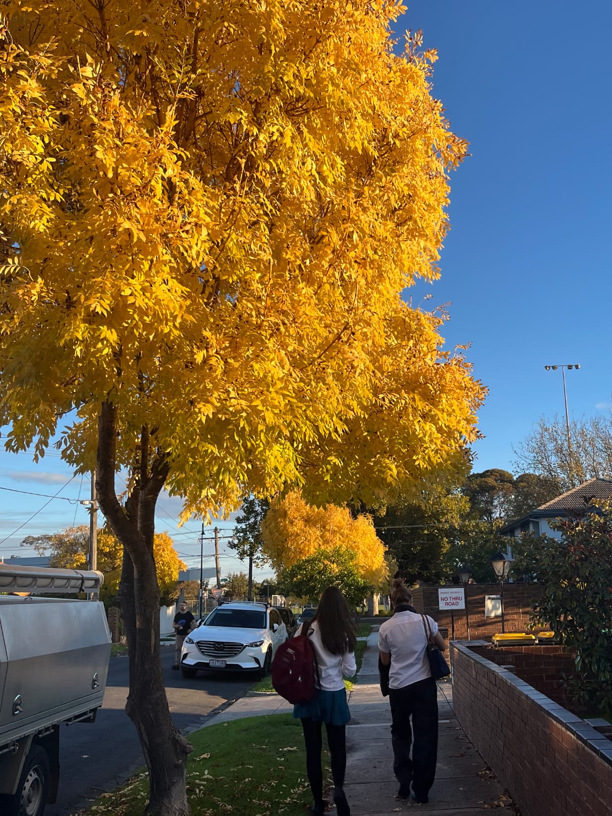 Autumn in Melbourne Autumn in Melbourne