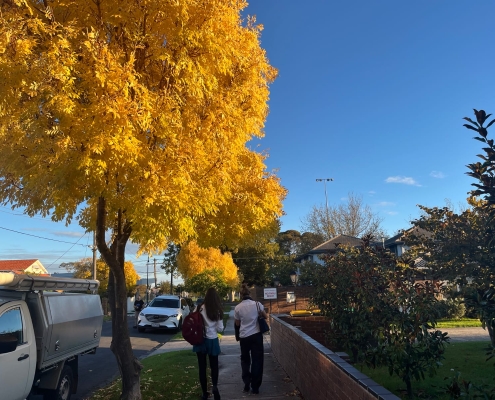 Herbst in Melbourne Herbst in Melbourne