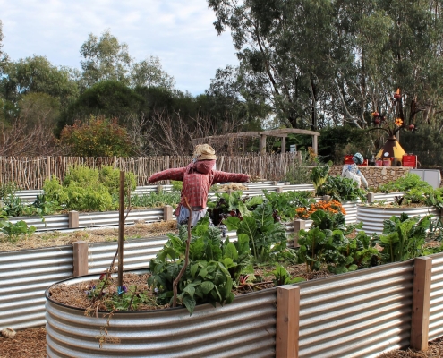 Pembroke School Old Watalunga 2 Pembroke School Old Watalunga 2