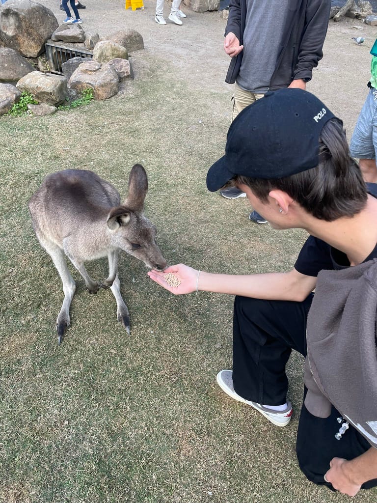 Im Currumbin Wildlife Sanctuary Im Currumbin Wildlife Sanctuary