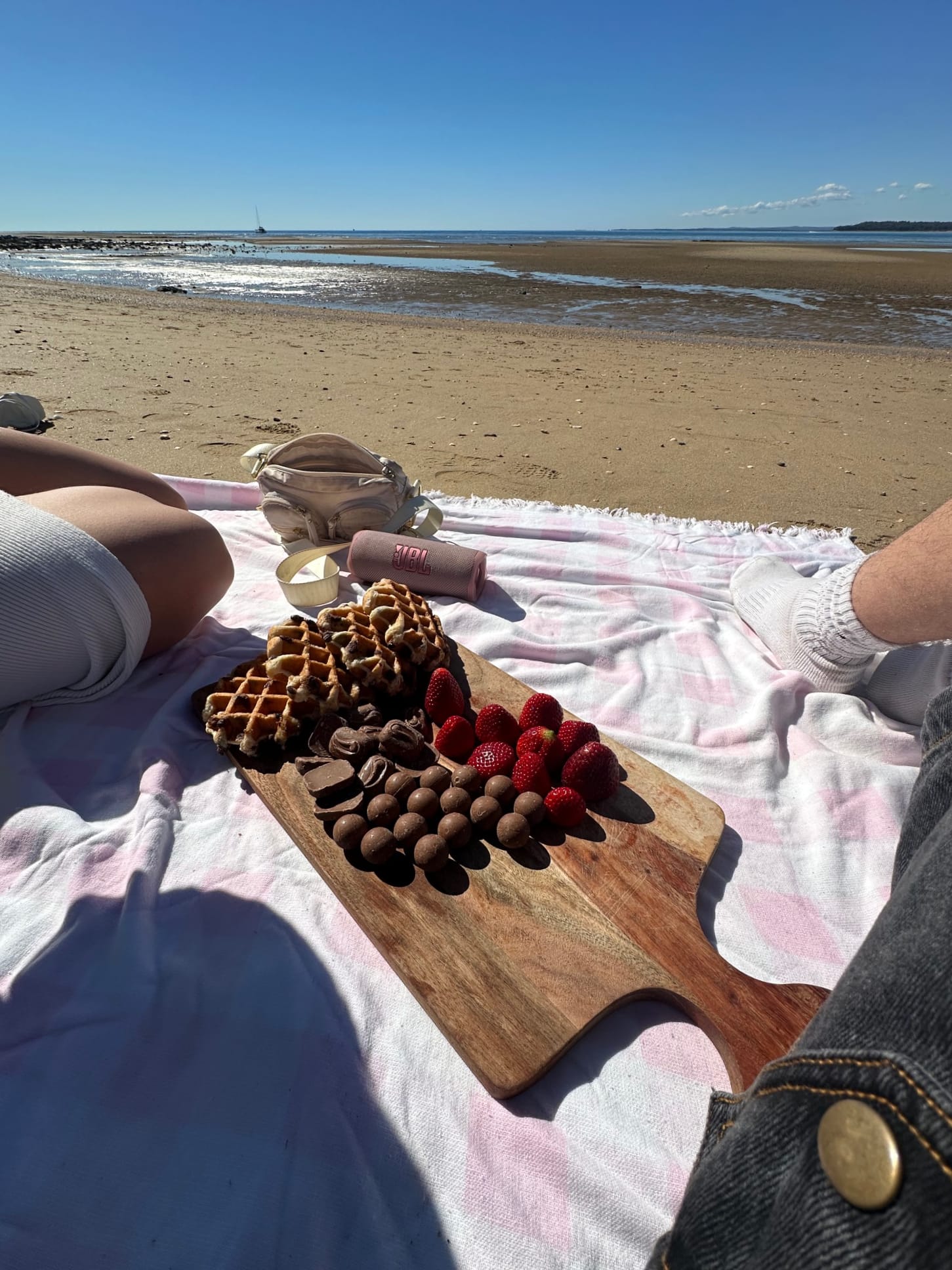 Picknick am Strand 🏖️ Picknick am Strand
