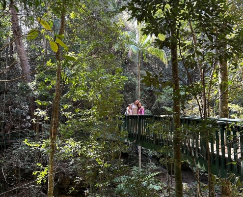 Im Buderim Rainforest Im Buderim Rainforest
