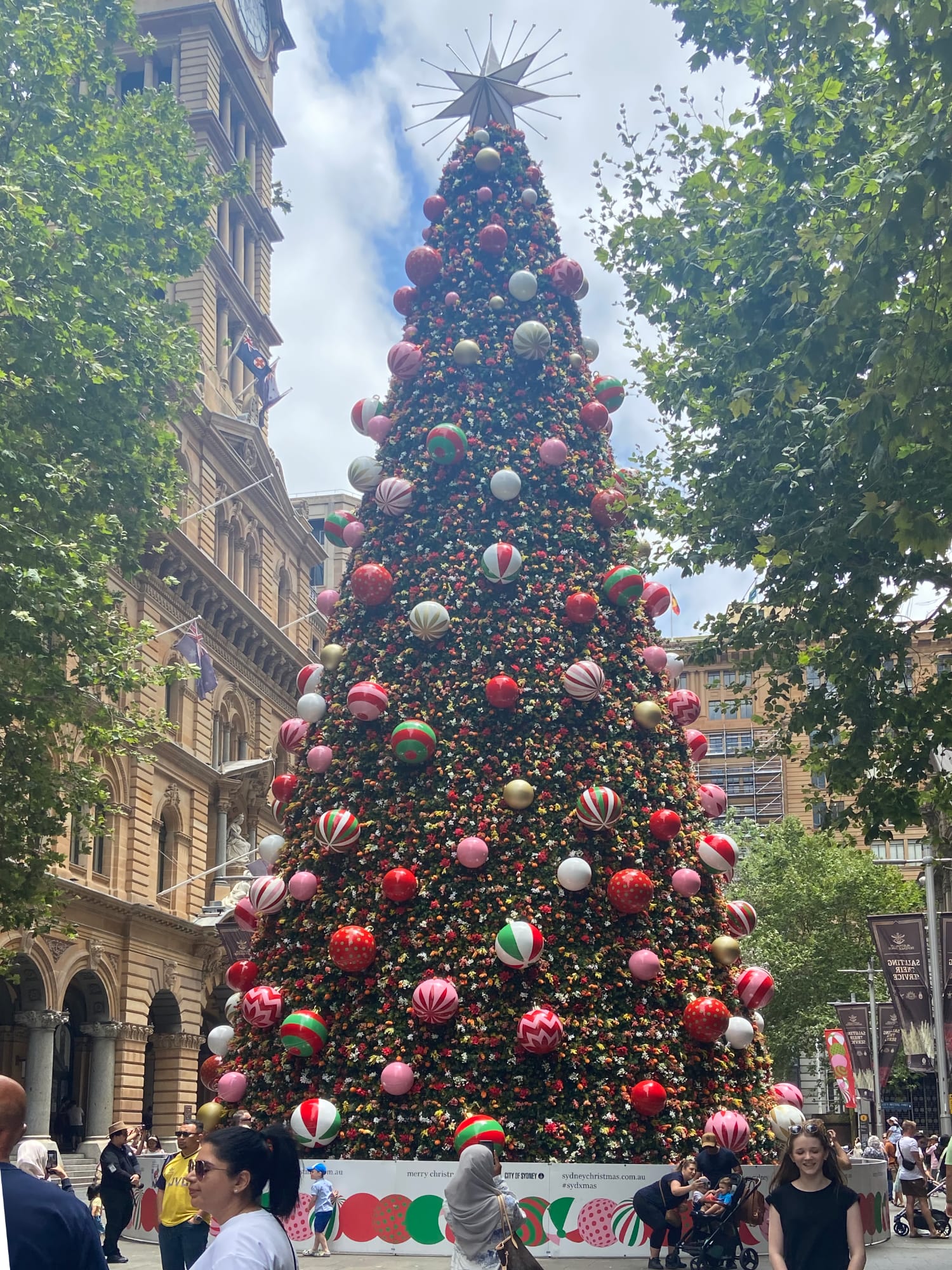 Christmas tree in Sydney downtown Christmas tree in Sydney downtown