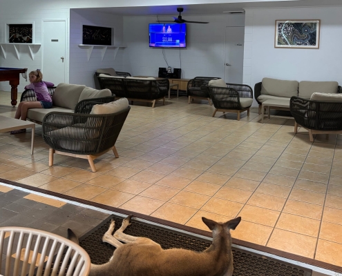 Campen mit der Gastfamilie am Cape Hillsborough Kangaroo Beach Campen mit der Gastfamilie am Cape Hillsborough Kangaroo Beach