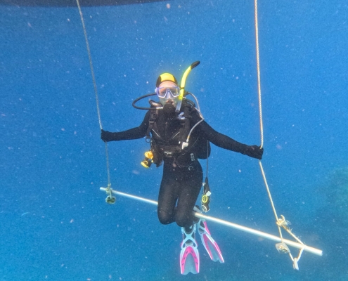 Tauchsafari in Cairns 2 Tauchsafari in Cairns 2