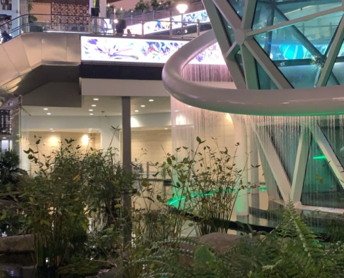 Botanischer Garten im Airport Doha Botanischer Garten im Airport Doha