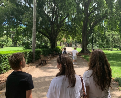 Im botanischen Garten, Brisbane Im botanischen Garten, Brisbane