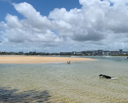 Mit dem Familienhund am Currumundi Lake Mit dem Familienhund am Currumundi Lake