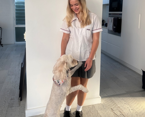 Meine Schuluniform und der Gasthund Meine Schuluniform und der Gasthund