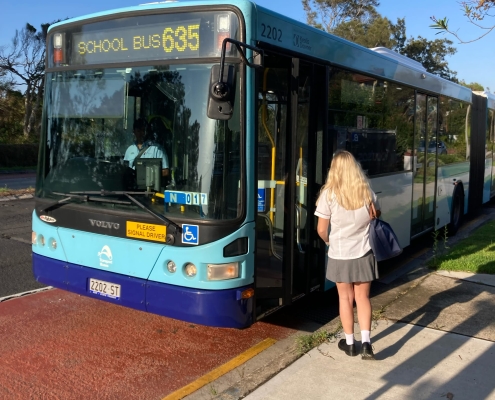 Mein School Bus Mein School Bus