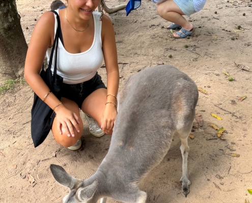 Erstes Foto mit einem Känguru