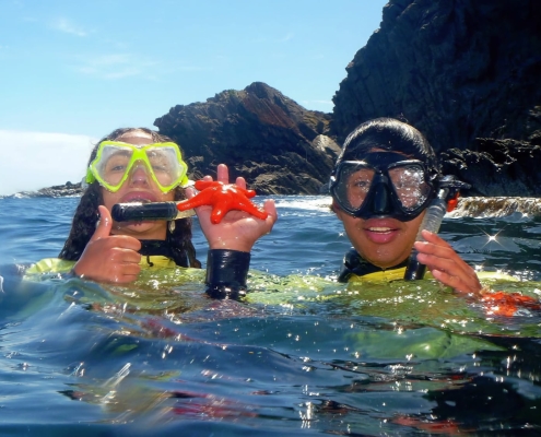 Schnorcheln auf Kangaroo Island Schnorcheln auf Kangaroo Island