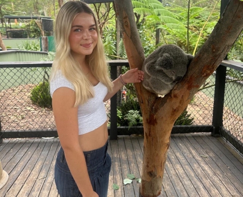 Koala im Australian Reptile Park, Somersby Koala im Australian Reptile Park, Somersby