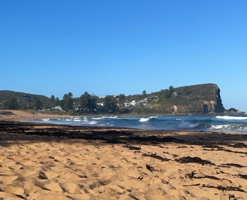 Avalon Beach Avalon Beach