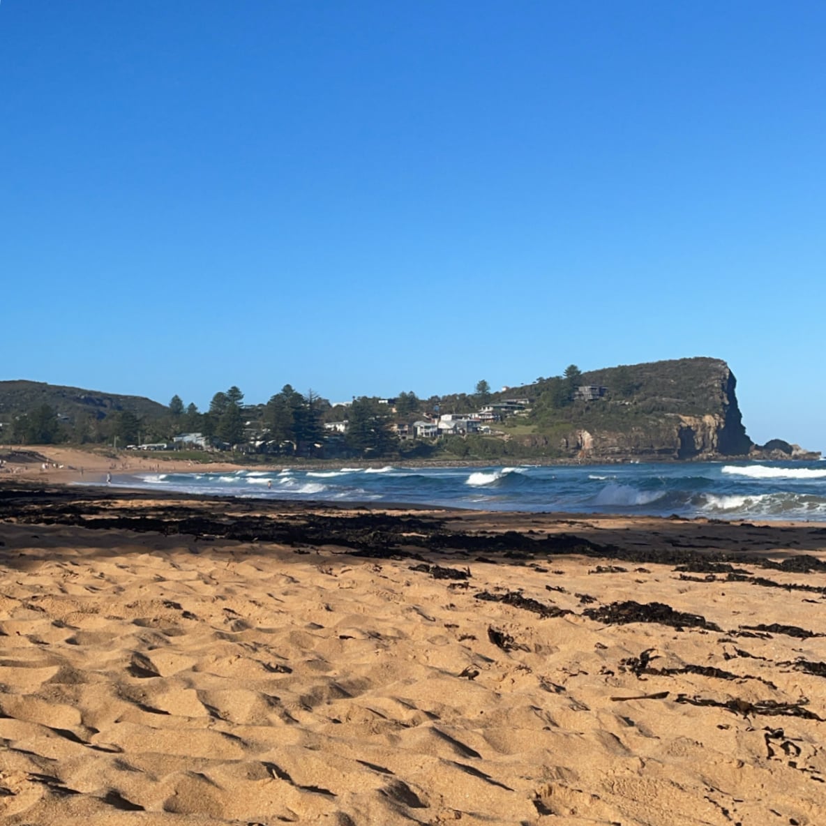 Avalon Beach Avalon Beach