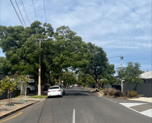 Die Straße, in der ich wohne Die Straße, in der ich wohne