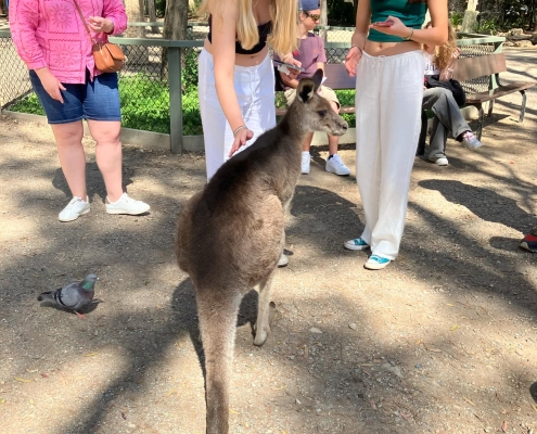 Maryborough State High School - Zoobesuch Maryborough State High School - Zoobesuch