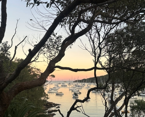 Sonnenuntergang in Fairlight, Sydney Sonnenuntergang in Fairlight, Sydney