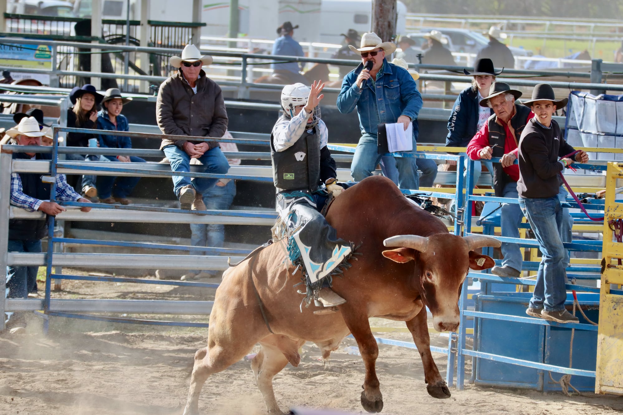 Bullenreiten beim Rodeo in Kilcoy Beim Rodeo